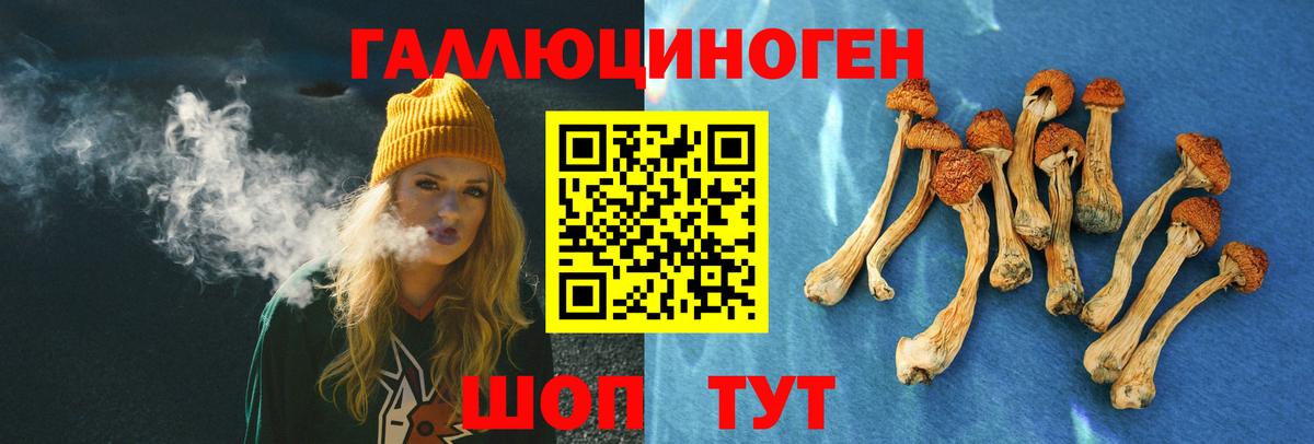 Галлюциногенные грибы MAGIC MUSHROOMS  Вход с VPN  Галлюциногенные грибы MAGIC MUSHROOMS  Светлоград 