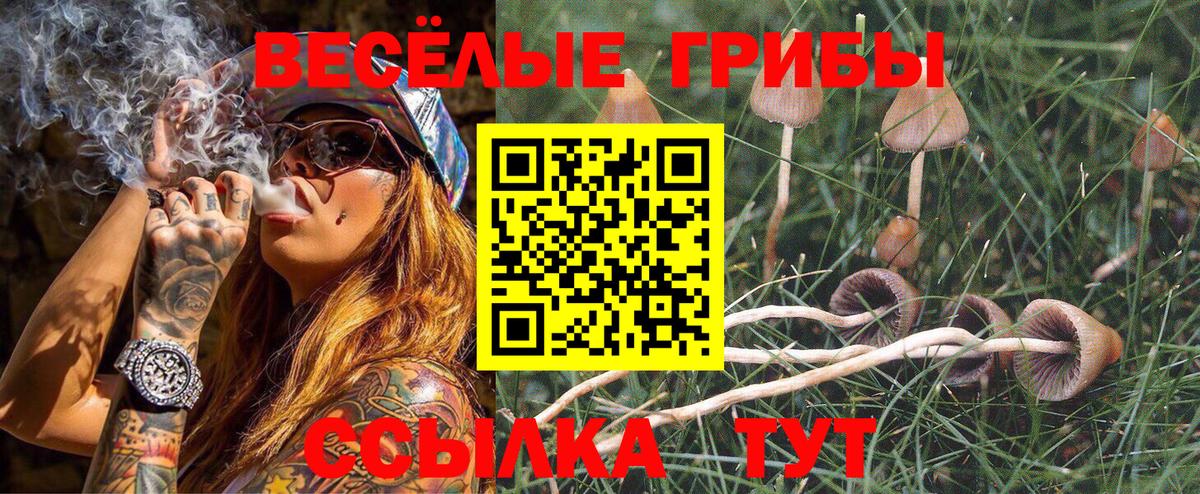 Псилоцибиновые грибы мухоморы Светлоград